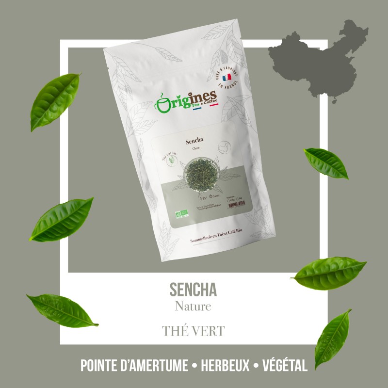 Sencha - Thé vert Bio de Chine - Sachet 100g