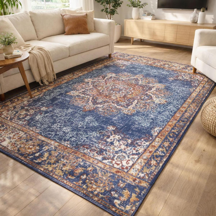 Tapis salon Rectangulaire Oriental
