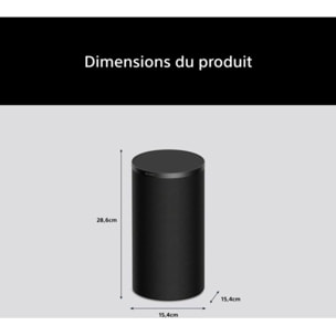 Kit enceinte surround SONY Bravia Theatre SARS9