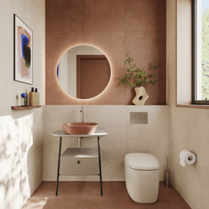 Vasque à poser Plural VitrA Clean terre rouge mat