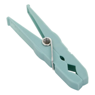 Lot de 50 pinces à linge en plastique