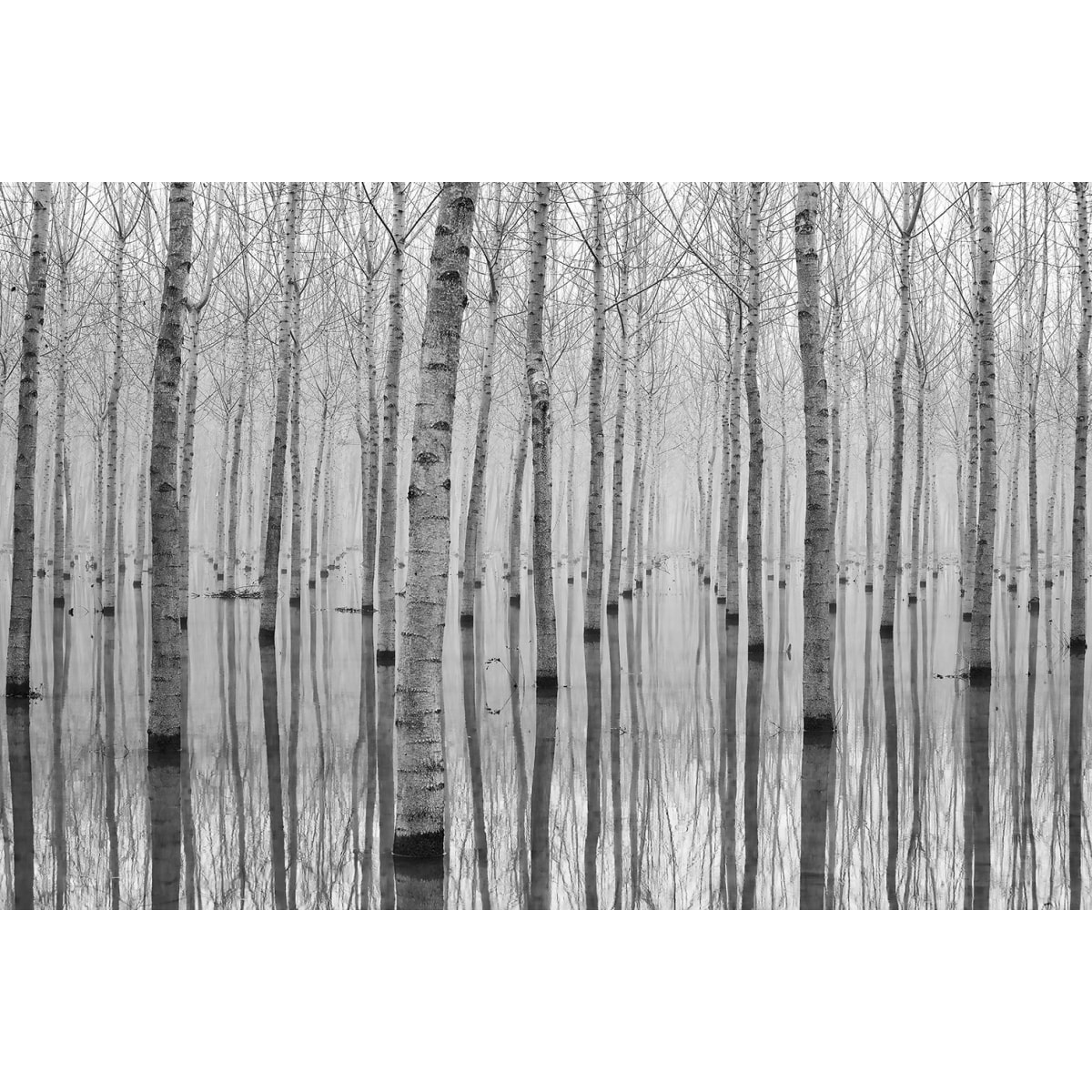 Tableau nature automnale pieds dans l'eau Tableau plexiglas