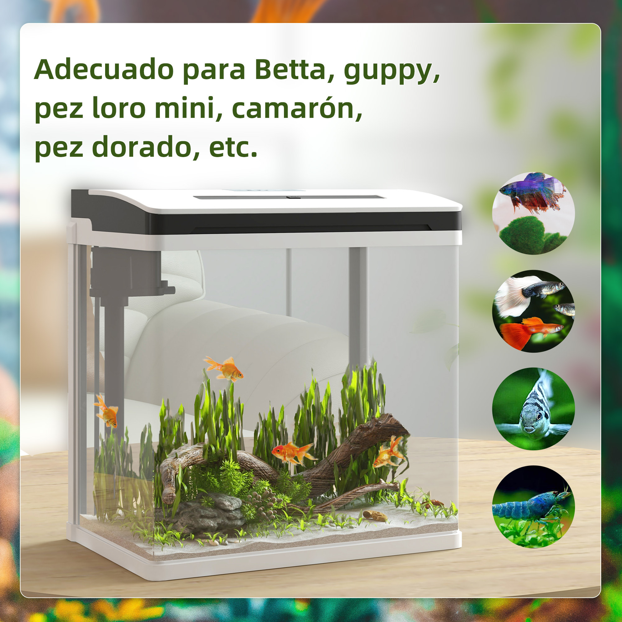 Acuario de Cristal de 13L Pecera Pequeña con Sistema de Filtro Iluminación LED Bomba de Agua 29x20x30,5 cm Blanco