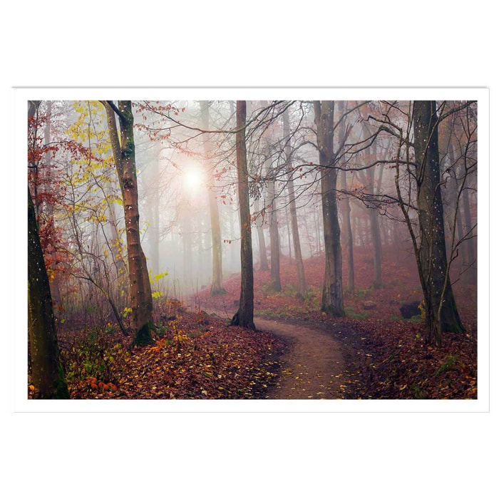 Affiche l'arbre et l'automne jaune Affiche seule