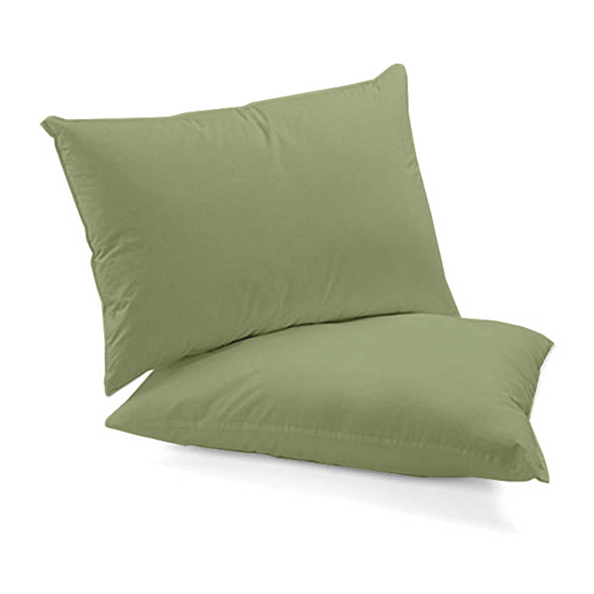 WHITE & WHITE Coppia federe verde in percalle di puro cotone