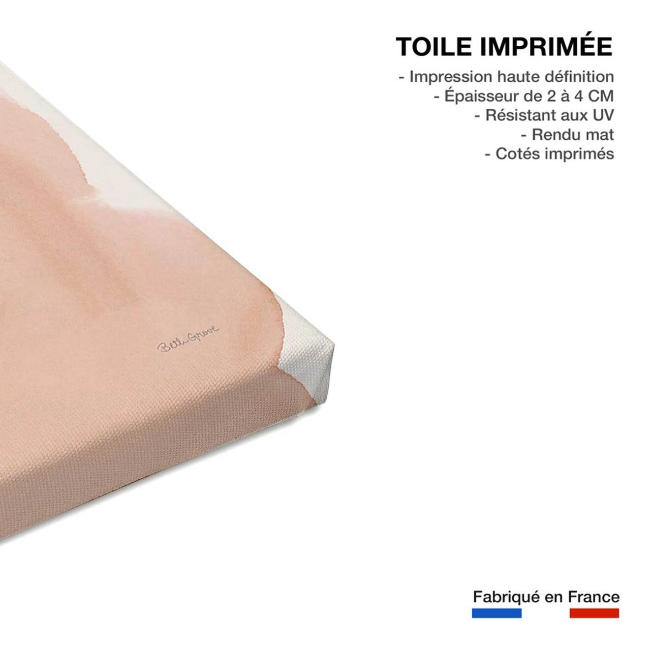 Tableau pétale passion Toile imprimée