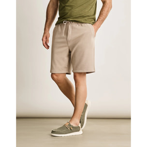 Bermuda Arena - Player