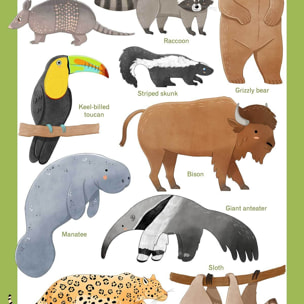Affiche enfant animaux d'amérique  Affiche sous cadre bois