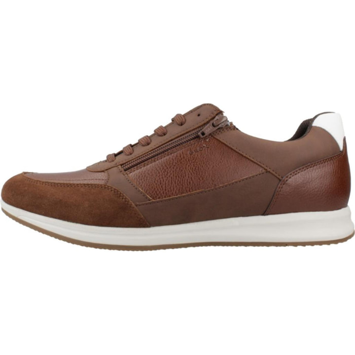 Sneakers de  Hombre de la marca GEOX  modelo U AVERY MARRON
