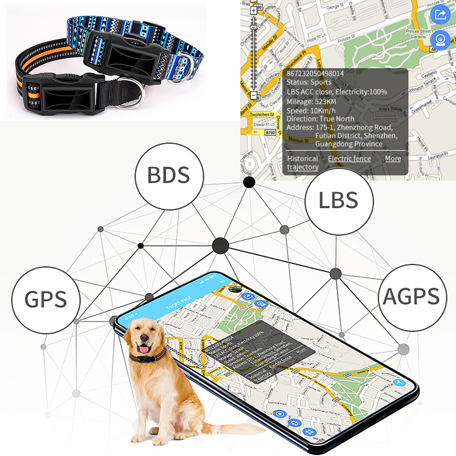 Localizzatore GPS speciale per cani e animali domestici. BDS+LBS+AGPS. Collare da 40 a 64 cm di diametro, riflettente.