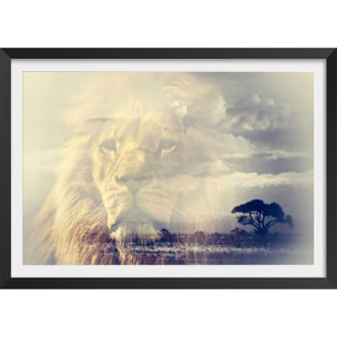 Affiche animaux lion and mount kilimanjaro Affiche + cadre en bois - Noir