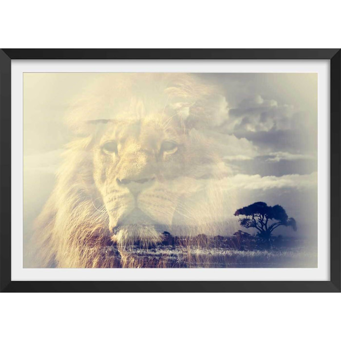 Affiche animaux lion and mount kilimanjaro Affiche + cadre en bois - Noir