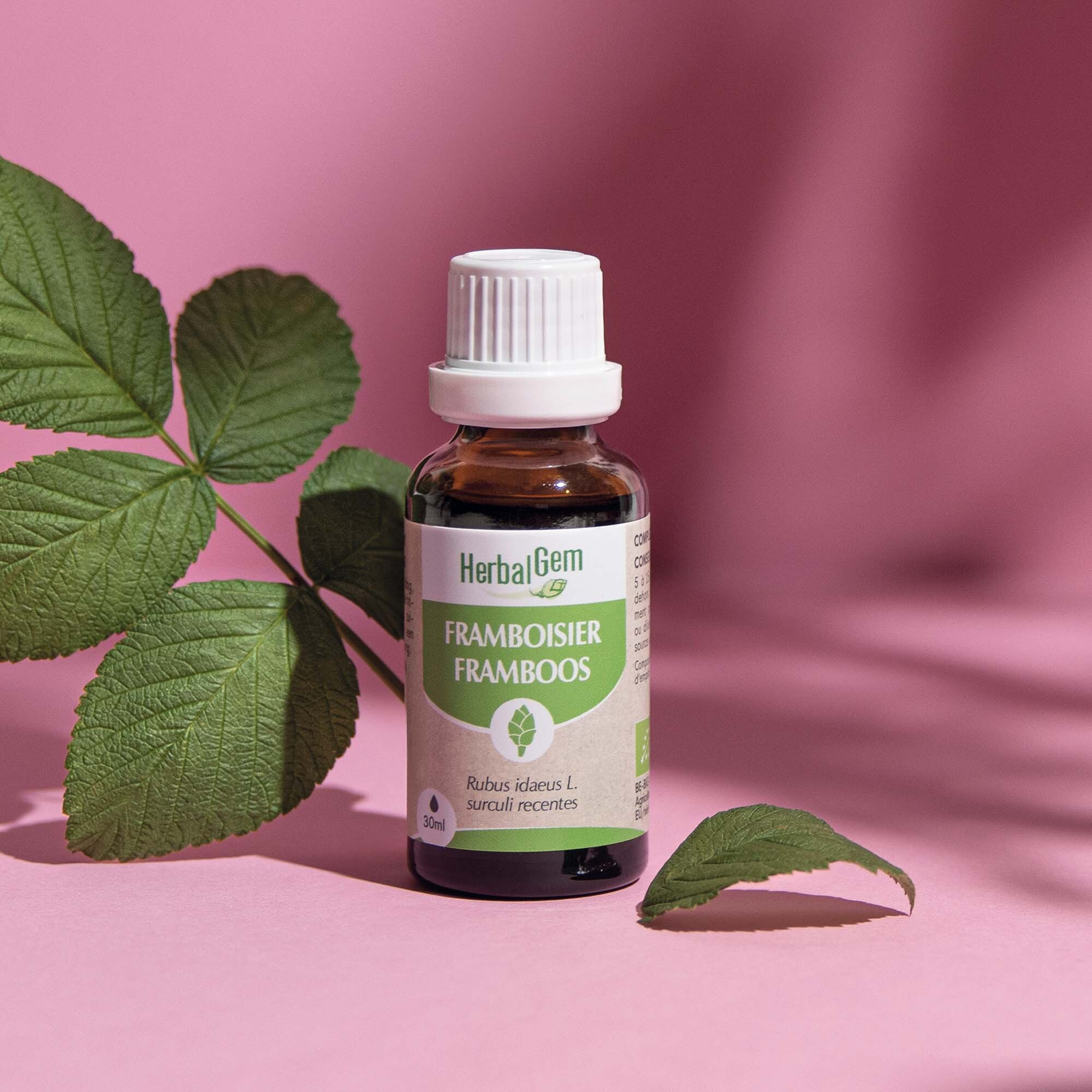 Herbalgem- Bourgeon de framboisier - Bio - 30 ml