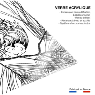 Tableau pigne des Landes Tableau plexiglas