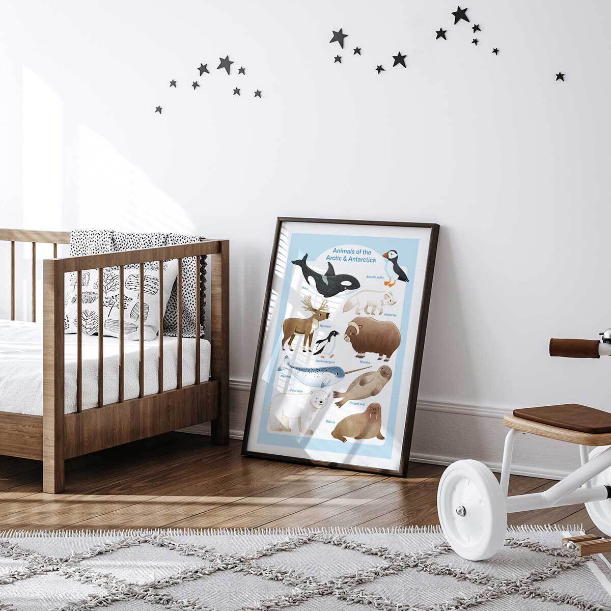 Affiche enfant animaux polaires  Affiche seule