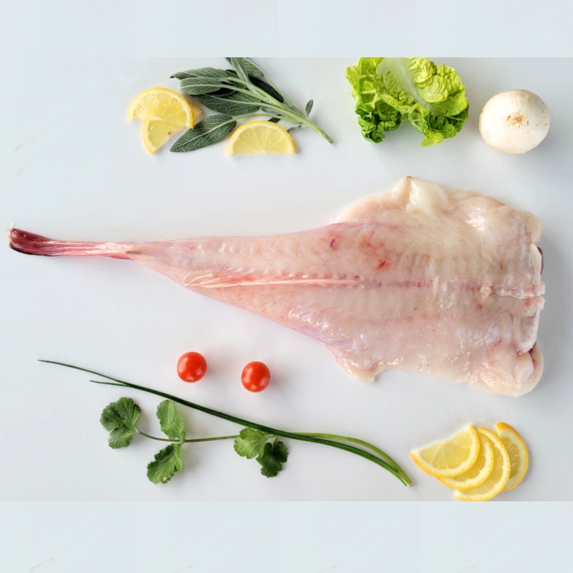 Queue de Lotte - 1,2kg - France - Vives Eaux