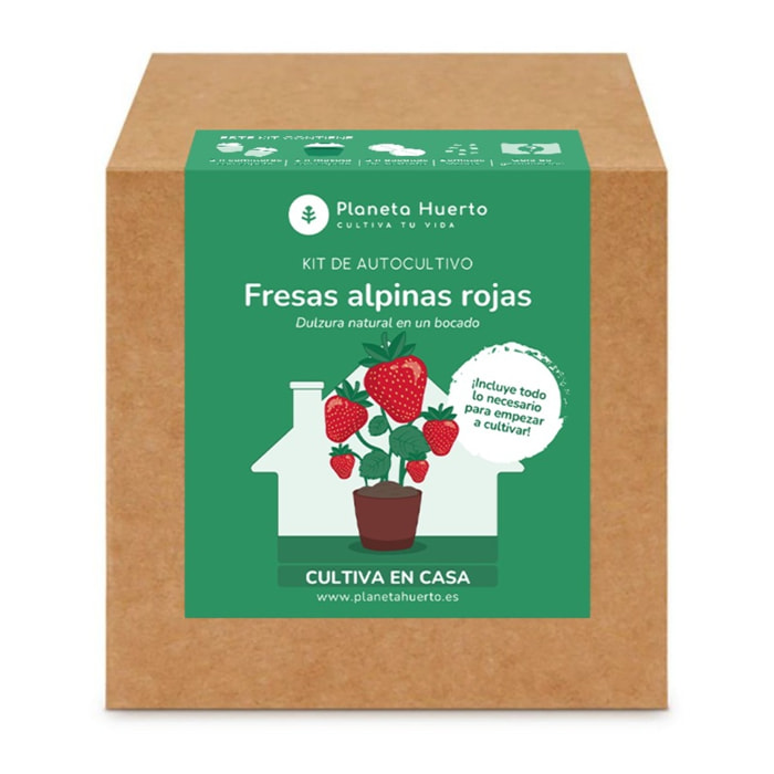 Kit de autocultivo Fresas alpinas rojas Planeta Huerto