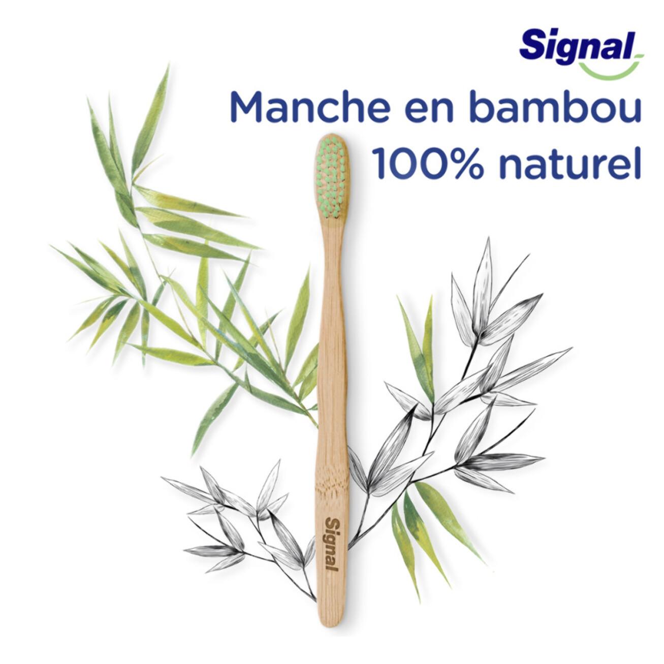 6 Brosses à Dents Signal Bambou Naturel Medium (Lot de 6 )