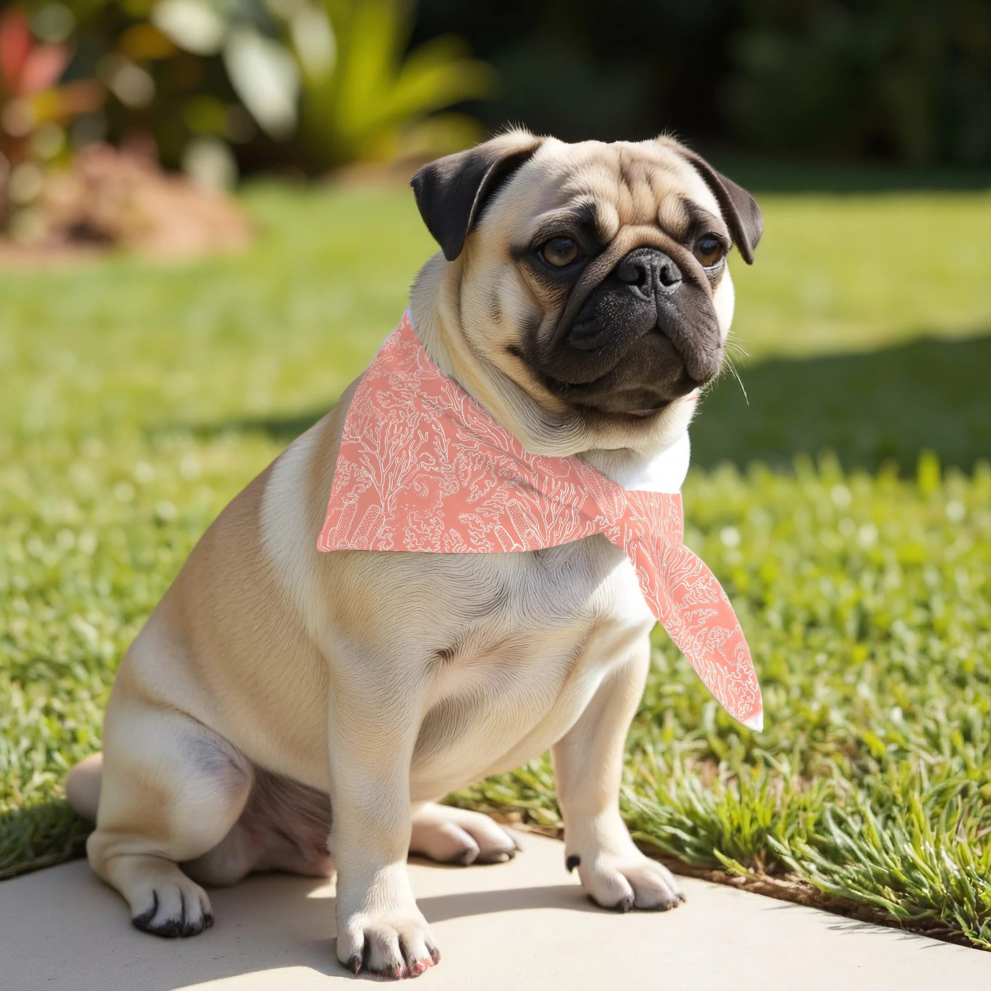 Pack de 2 bandanas pour animaux Estarit Corail