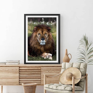 Affiche animaux pattes de lion Affiche + cadre en bois - Noir
