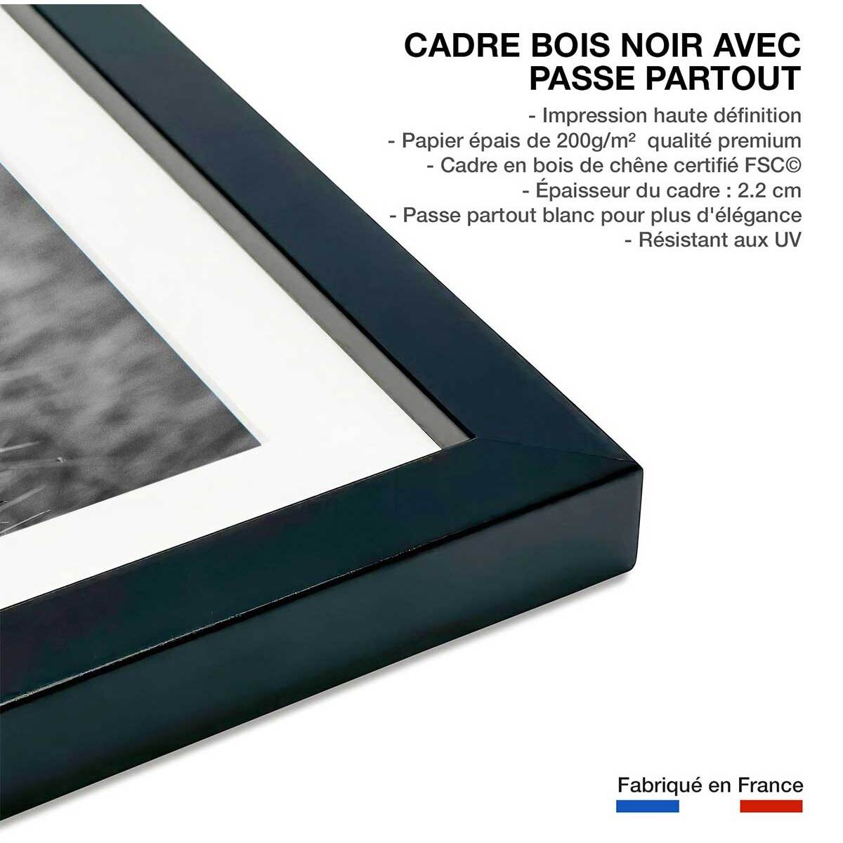 Affiche animaux Cheetah Affiche + cadre en bois - Noir