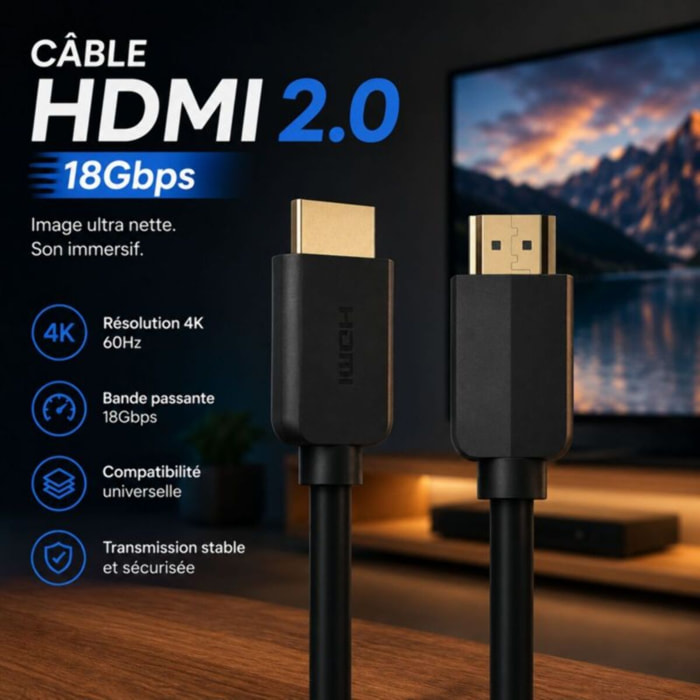 Câble HDMI ESSENTIELB 2.0 /18Gbps 5M Noir