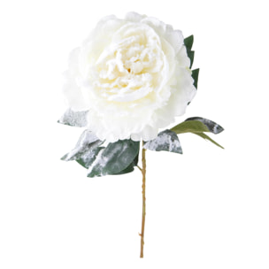 Peonia - Pezzi 12 - 20xH76x20cm - Bianchi Dino SpA