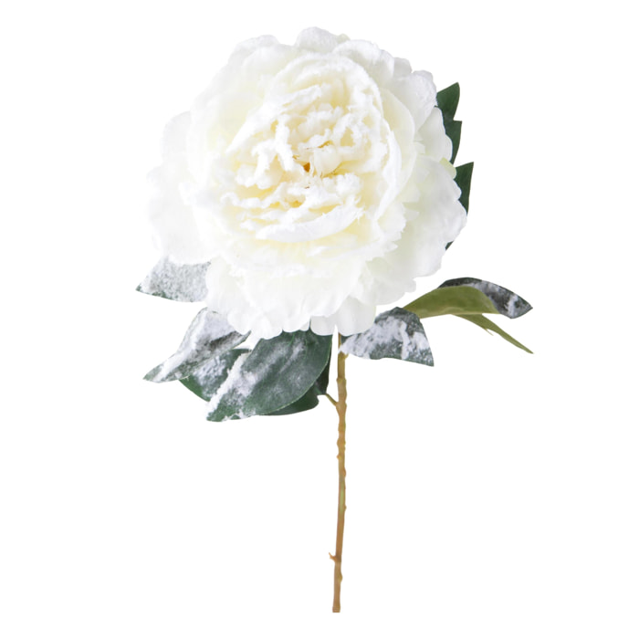 Peonia - Pezzi 12 - 20xH76x20cm - Bianchi Dino SpA