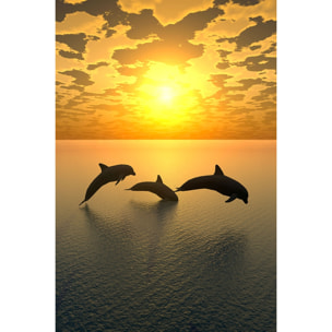 Tableau décoratif dauphins Tableau alu Dibond