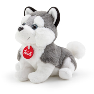 Trudi 19494 - Puppy Husky Taglia M