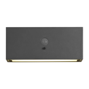 FORLIGHT Top - Aplique Solar Exterior LED 3W. Aplique de Pared con Placa Solar para Jardín y Terraza. Blanco Cálido 3000K. Colo