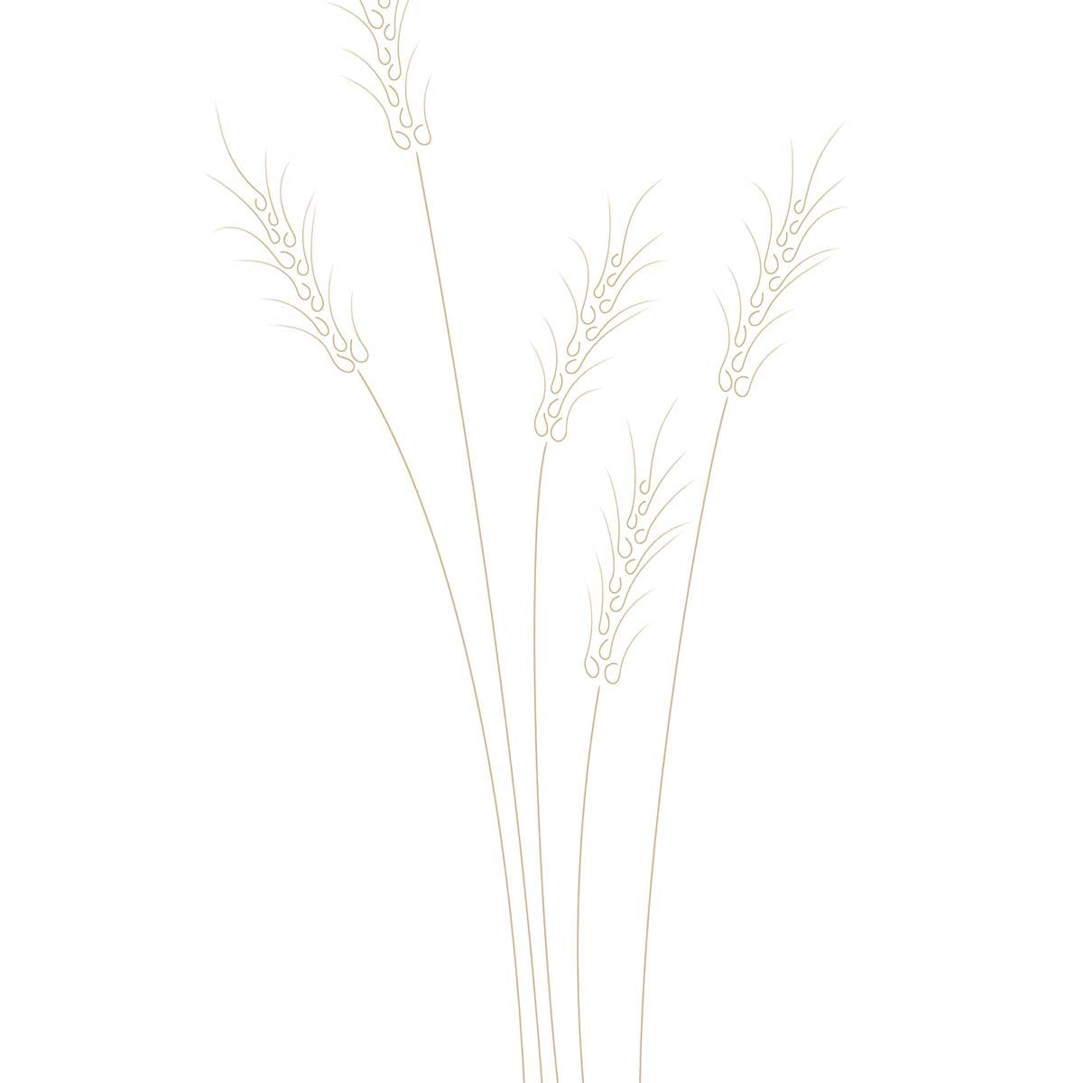 Affiche  scandi blés Affiche + cadre en bois - Chêne