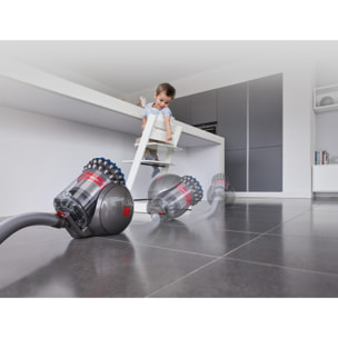 Aspirateur Dyson Big Ball ​Absolute 2​