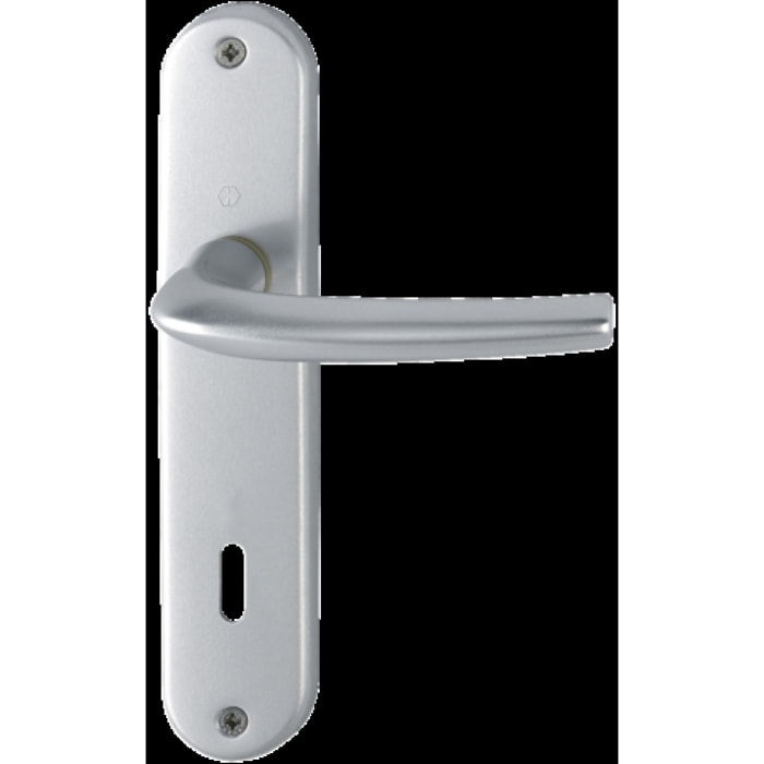 Ensemble de porte San Diego 1191/347 HOPPE Alu Argent F1 - Clé L - 3230320