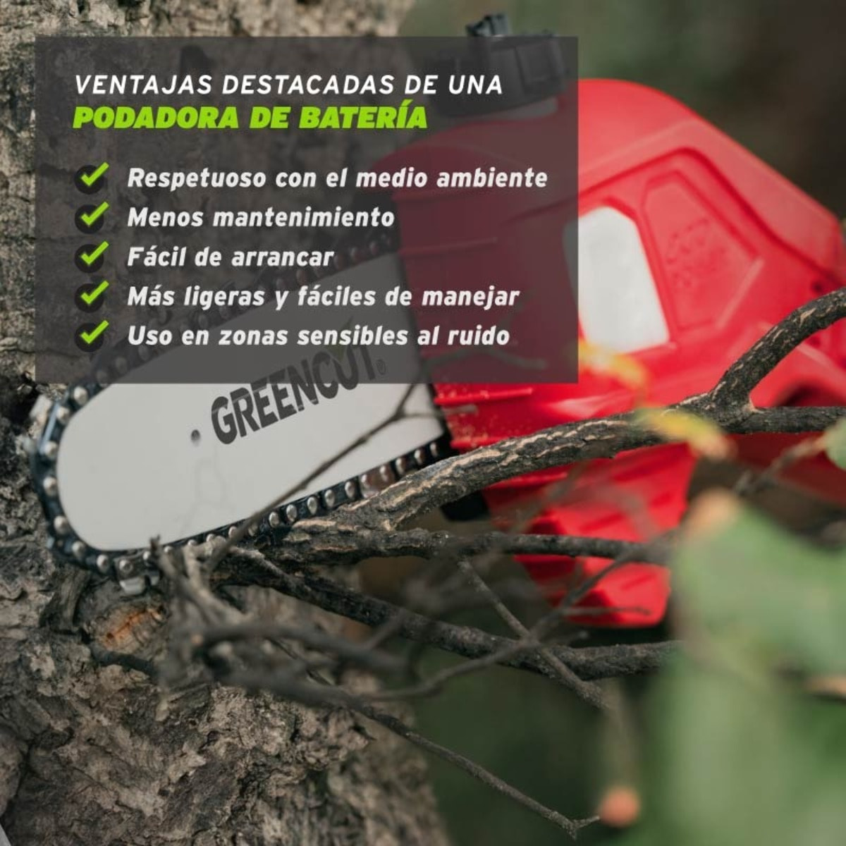 Podadora de altura de batería espada de 170mm capacidad de corte de hasta 150mm - Greencut PP400L