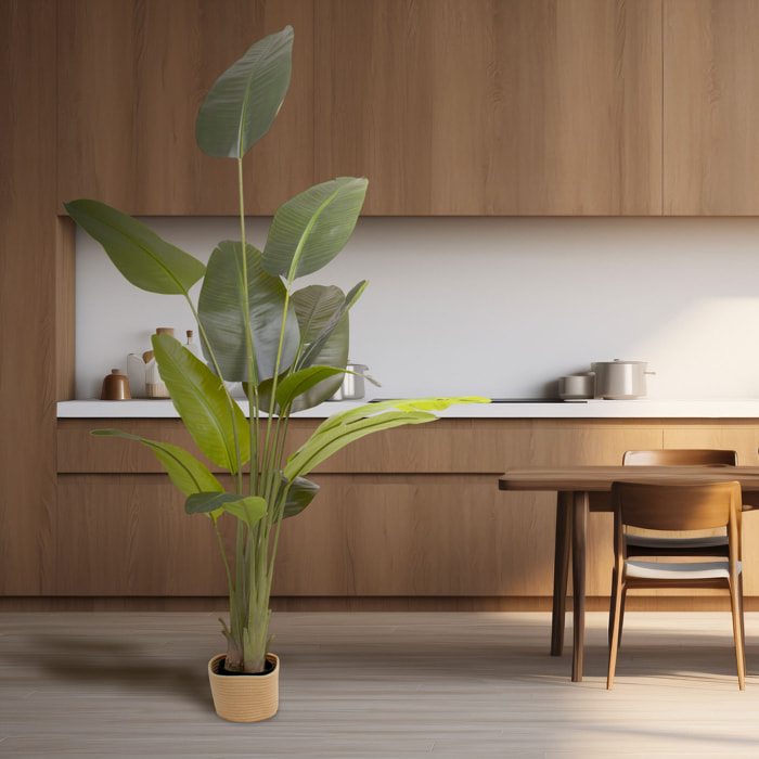 Traveller Banana 210 - Pianta Artificiale Decorativa Tropicale Banano H210 cm per Interno Esterno con Vaso Beige