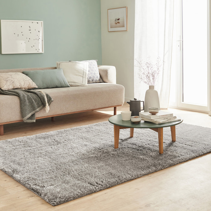 Cosy - tapis salon à poils longs tout doux, gris