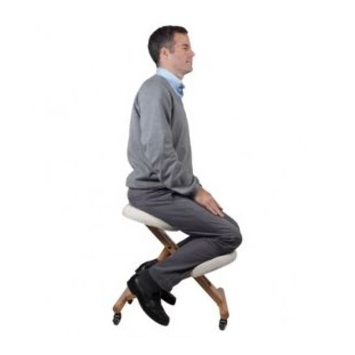 Siège ergonomique SISSEL ergonomique stabido noir
