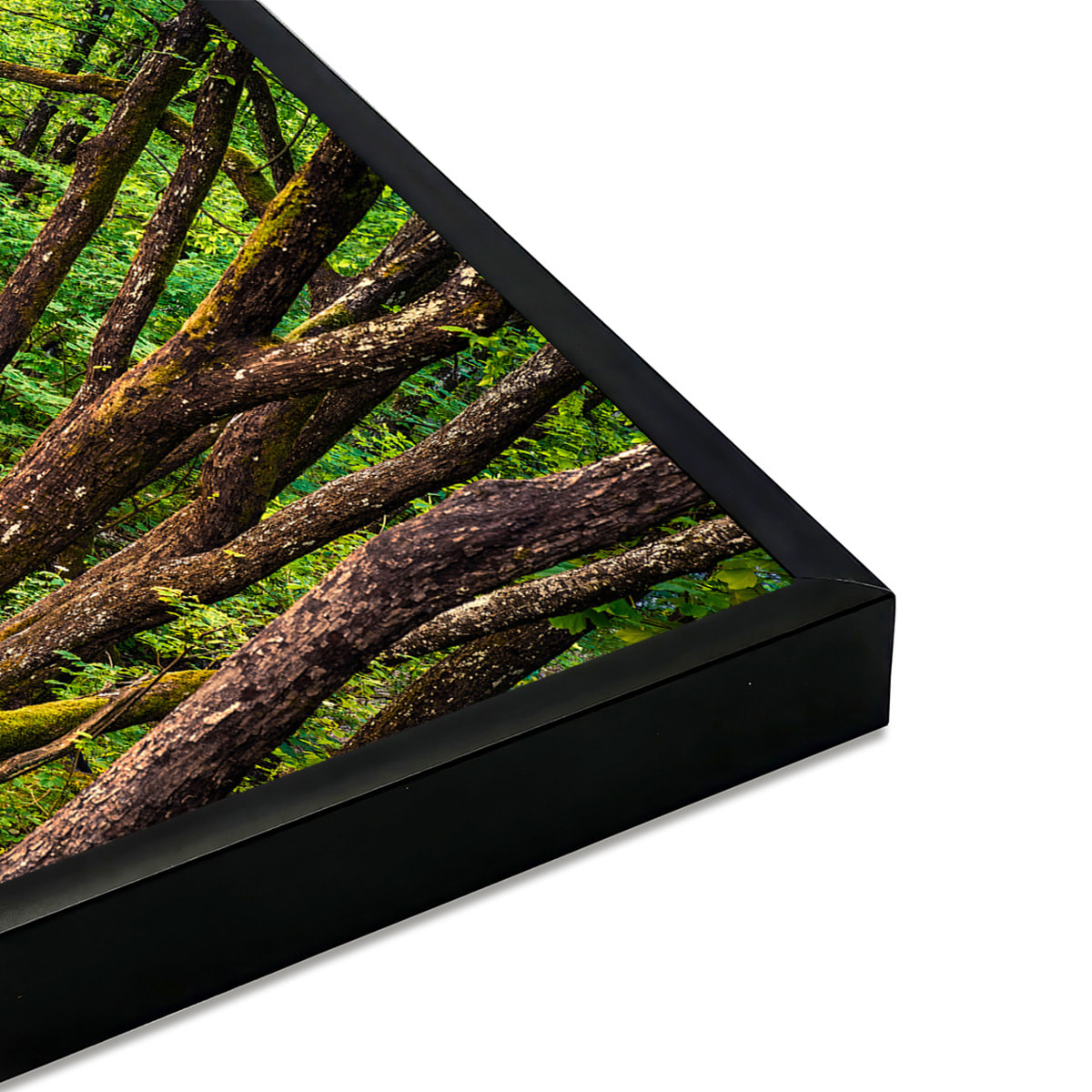 Affiche encadrée passerelle en forêt Affiche + cadre en métal - Noir