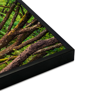 Affiche encadrée passerelle en forêt Affiche + cadre en métal - Noir