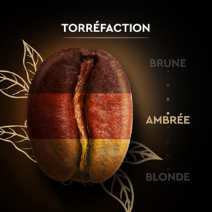 CARTE NOIRE - Grains Classique  - 100 % Arabica - Certifié Rainforest Alliance - 1 kg