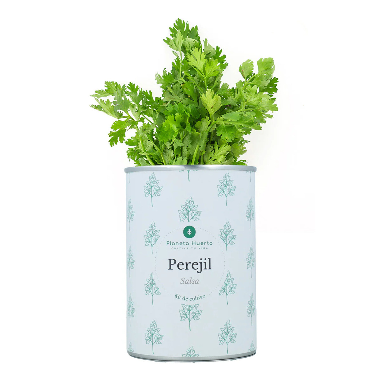 Kit de cultivo aromáticas Perejil Planeta Huerto