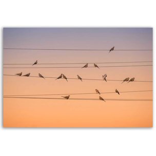 Tableau oiseaux Music of Light Toile imprimée
