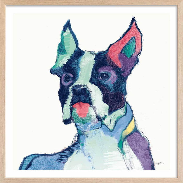 Affiche Ulysses Bouledogue français Affiche sous cadre bois