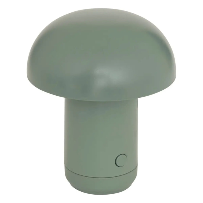 Lampe LED batterie Lidi H11,2cm