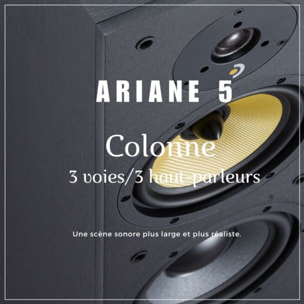 Enceinte colonne DAVIS ARIANE 5 Noir (x1)