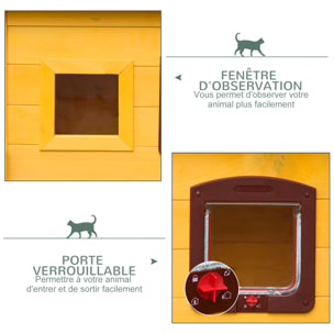 Maison niche pour chat sur pied toit bitumé ouvrant porte fenêtre bois verni