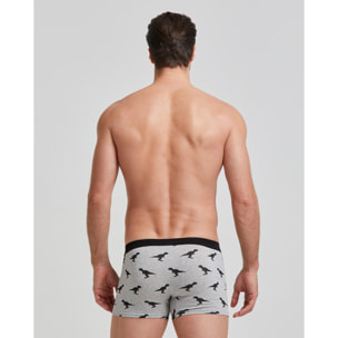 Boxer cotone Dinos