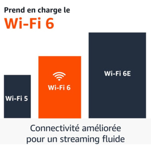 Passerelle multimédia AMAZON Fire TV Stick 4K Plus (2nd generation)