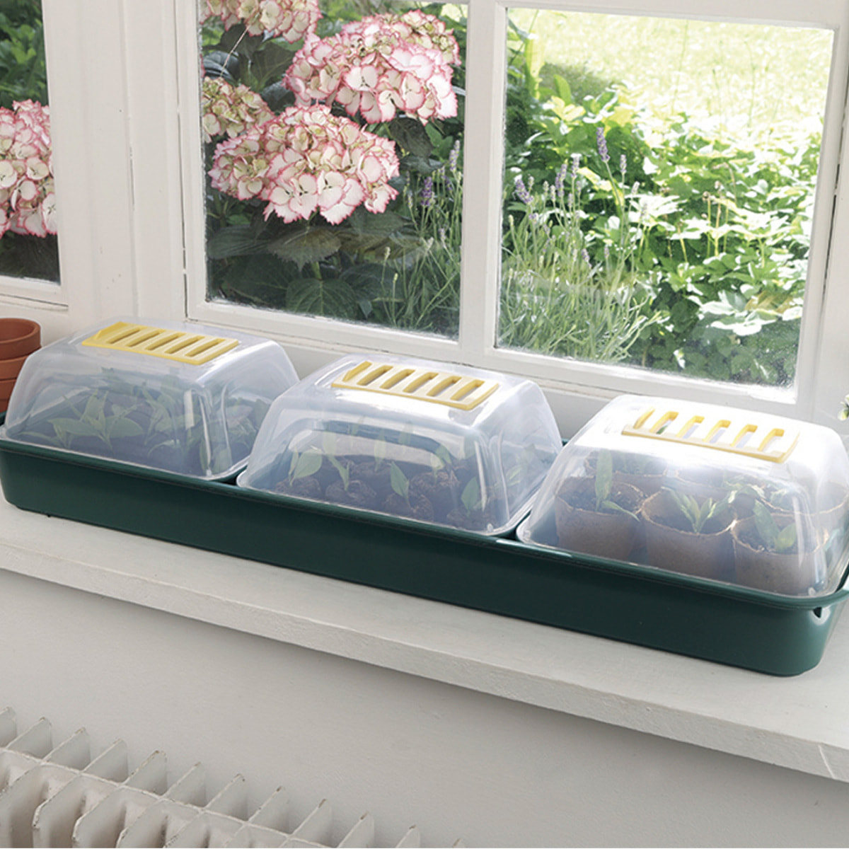 Pack 3 Mini Invernaderos Para Semillas Grow Window 66x18x9 Cm